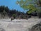 Remains of the gymnasium, Nemea, Peloponnese, Greece