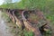 The remains of a historical delelict gold dredge on Bonanza creek near Dawson City, Canada