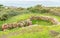 Remains of La Sergente neolitic tomb, bailiwick of Jersey, Channel Islands