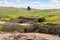 The remains  of the Maresha city in Beit Guvrin, near Kiryat Gat, in Israel