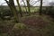 Remains of megalithic tomb Neu Negentin in Mecklenburg-Vorpommern, Germany