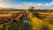 The remains of the old Galloway Railway train line or paddy line at Mossdale