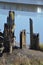 The remains of an old pier or dock on the banks of the river usk, newport, gwent, Wales, UK