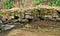 Remains of old Reservoir along Crystal Springs Loop Trail