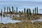 Remains of pier at Stockton Springs Maine