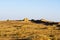 Remains of rammed earth Great Wall. At sunrise