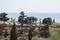 Remains of Roman columns. View of the Roman ruins of Byblos. Byblos, Lebanon