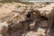 Remains  of sewers in ruins of the - Turris Slinarum - Salt Tower fortress near to Jisr Ez Zarqa arab village. Located near the