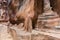 Remains of statues carved into the rock of canyon leading to Petra - the capital of the Nabatean kingdom in Wadi Musa city in Jord