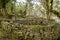 Remains of stone round houses inside the lost city of ancient Kuelap fortress, archaeological site in Amazonas region, Peru