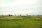 Remains of stone walls of an ancient burial mound in the steppe