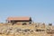The remains of Susya city - largest Jewish city of ancient Judea