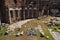 The remains of Trajan\\\'s Forum in Rome, Italy