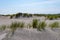 Remarcable dunes of Amrum (Oomram) in Northern Germany at the Northern See