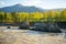 Remarkable natural objects - dragon teeth - in Katun river of Altai mountains with beautiful taiga area on background