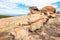 Remarkable Rocks, Flinders Chase National Park