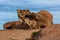 Remarkable Rocks, Kangaroo Island, South Australia.