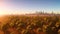 A Remarkable View Of A City With A Lot Of Trees In The Foreground AI Generative