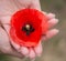 Rememberance Day Red Poppy in hands