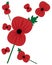 Rememberance poppy