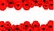 Remembrance, Anzac Day web header. Poppies flowers. Memorial banner, card.