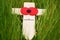 Remembrance cross