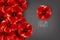 Remembrance day - 11 november - lest we forget