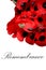 Remembrance Day Armistice Poppy Wreath Scene