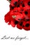 Remembrance Day Armistice Poppy Wreath Scene