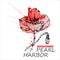 Remembrance day pearl harbor. December 7. National Day of Remembrance in the United States