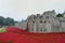 Remembrance poppies at tower