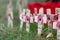 Remembrance poppies on wooden crosses for poppy day.