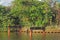 REMNANT OF OLD BRIDGE IN LAGOON WITH SUBTROPICAL VEGETATION