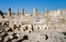 Remnants of an ancient Christian church in the Nabatean city of Avdat