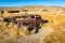 The remnants of the Bodie Ghost Town