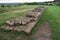 Remnants of Hadrian`s Wall in the north of England
