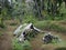 Remnants of a Japanese WWII plane in Matupit, Rabaul, Papua New