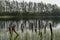 Remnants of the old abandoned wooden bridge. Desolate pier. Forest and sky reflection on water. Shore of a single lake.