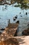 Remnants of the old abandoned wooden bridge in Rosario Islands, Colombia.