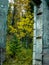 Remnants of an old coal mining town. Lower Bankhead,Banff National Park,Alberta,Canada