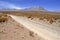 Remote, Barren volcanic landscape of the Atacama Desert, Chile