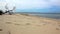 Remote beach with footsteps in the sand