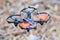 Remote controlled quadcopter drone