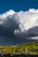 Remote Farm House In Front Of Heavy Clouds In The Highlands Of Scotland