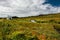 Remote Hut Beneath River in Ireland