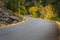 Remote roadway, Oregon