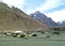 remote Shimshal village, Karakoram, Northern Pakistan