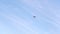 Remote view of quadcopter drone hovering and flying on background of cloudy blue sky. Low-angle view of copter drone fly