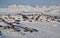 Remote village in winter, Greenland