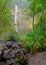 Remote waterfall in rainforest in Hawaii